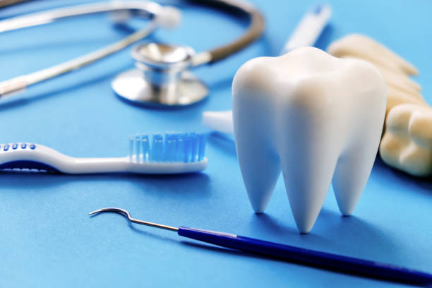 Our Range of Dental Services in Oreland, PA